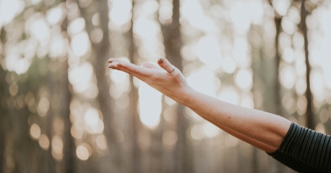 Weight Management Consultation