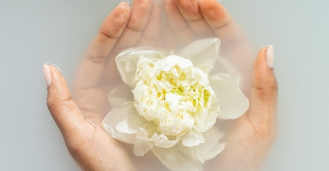 Metabolic Management